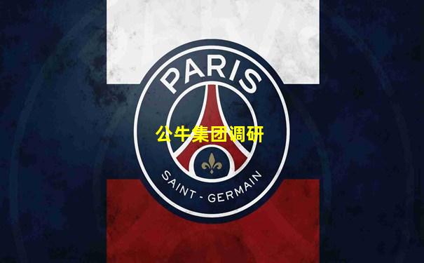 公牛集团调研