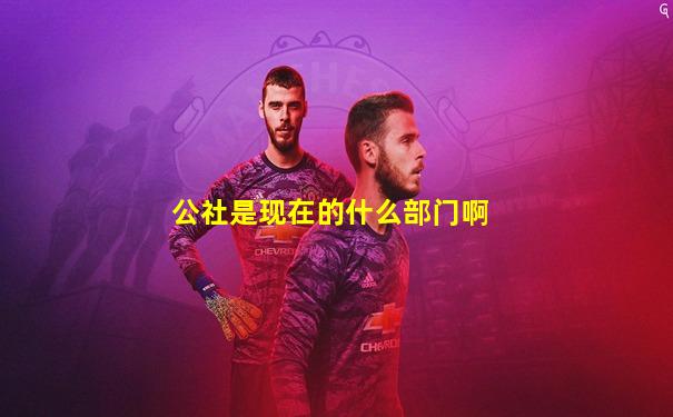 公社是现在的什么部门啊