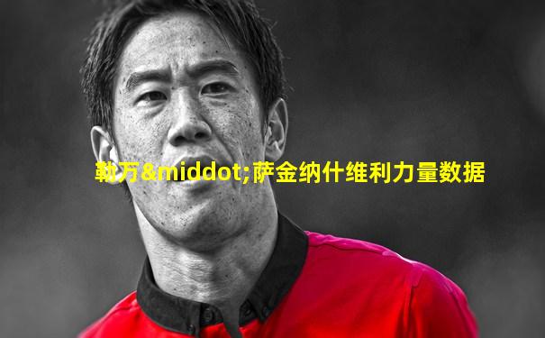 勒万·萨金纳什维利力量数据