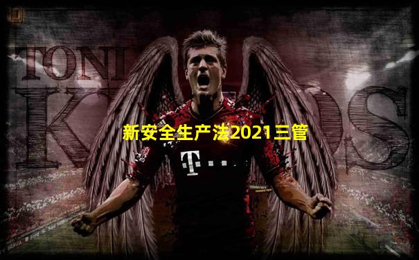 新安全生产法2021三管