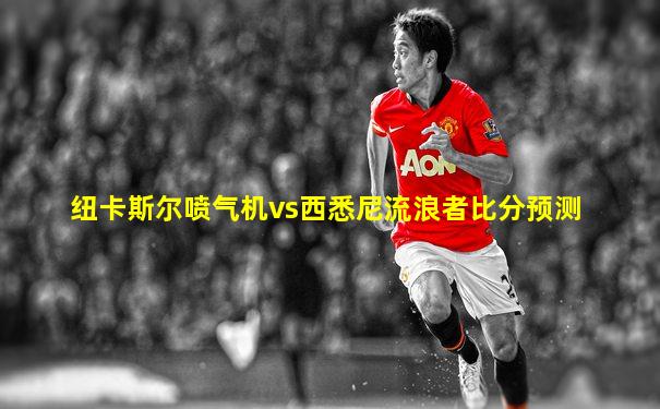 纽卡斯尔喷气机vs西悉尼流浪者比分预测
