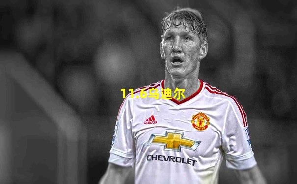 11.6乌迪尔