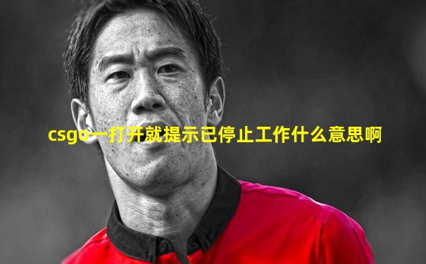 csgo一打开就提示已停止工作什么意思啊