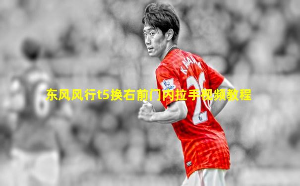 东风风行t5换右前门内拉手视频教程