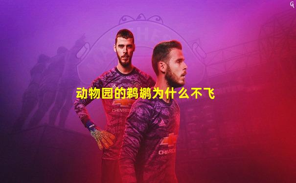 动物园的鹈鹕为什么不飞