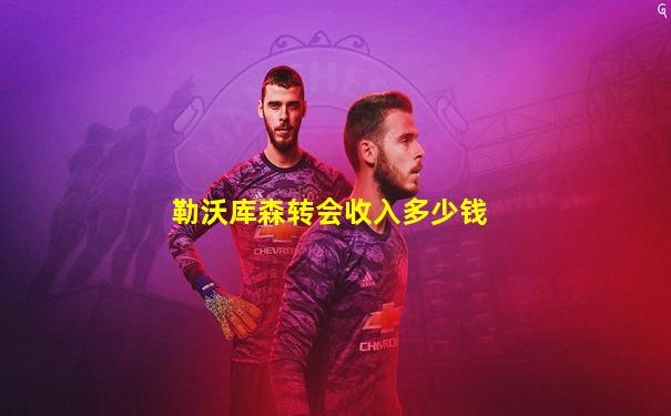 勒沃库森转会收入多少钱