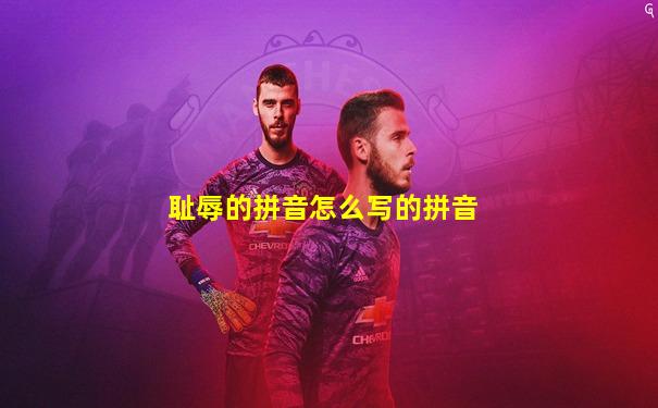 耻辱的拼音怎么写的拼音