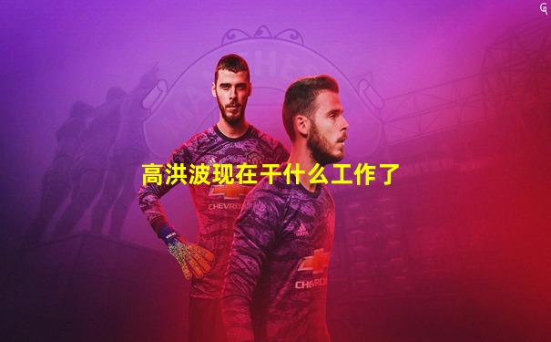 高洪波现在干什么工作了
